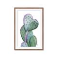 Picture of Prickly Pear Cactus  _GroupedProduct_Rectangle_Portrait_Framed_Matted_