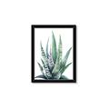 Picture of Zebra Succulent  _GroupedProduct_Rectangle_Portrait_Framed_Matted_