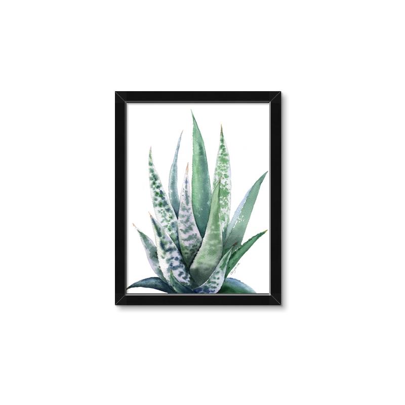 Picture of Zebra Succulent  _GroupedProduct_Rectangle_Portrait_Framed_Matted_