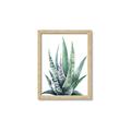 Picture of Zebra Succulent  _GroupedProduct_Rectangle_Portrait_Framed_Matted_