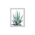 Picture of Zebra Succulent  _GroupedProduct_Rectangle_Portrait_Framed_Matted_