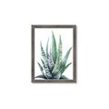 Picture of Zebra Succulent  _GroupedProduct_Rectangle_Portrait_Framed_Matted_