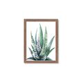 Picture of Zebra Succulent  _GroupedProduct_Rectangle_Portrait_Framed_Matted_