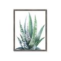 Picture of Zebra Succulent  _GroupedProduct_Rectangle_Portrait_Framed_Matted_
