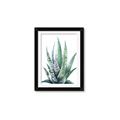 Picture of Zebra Succulent  _GroupedProduct_Rectangle_Portrait_Framed_Matted_