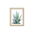 Picture of Zebra Succulent  _GroupedProduct_Rectangle_Portrait_Framed_Matted_