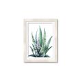 Picture of Zebra Succulent  _GroupedProduct_Rectangle_Portrait_Framed_Matted_