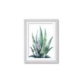 Picture of Zebra Succulent  _GroupedProduct_Rectangle_Portrait_Framed_Matted_