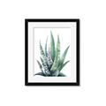 Picture of Zebra Succulent  _GroupedProduct_Rectangle_Portrait_Framed_Matted_