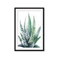 Picture of Zebra Succulent  _GroupedProduct_Rectangle_Portrait_Framed_Matted_