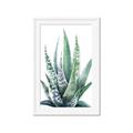Picture of Zebra Succulent  _GroupedProduct_Rectangle_Portrait_Framed_Matted_