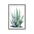Picture of Zebra Succulent  _GroupedProduct_Rectangle_Portrait_Framed_Matted_