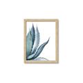 Picture of Succulent  _GroupedProduct_Rectangle_Portrait_Framed_Matted_