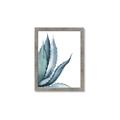 Picture of Succulent  _GroupedProduct_Rectangle_Portrait_Framed_Matted_