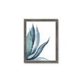 Picture of Succulent  _GroupedProduct_Rectangle_Portrait_Framed_Matted_