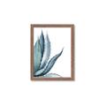 Picture of Succulent  _GroupedProduct_Rectangle_Portrait_Framed_Matted_
