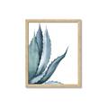 Picture of Succulent  _GroupedProduct_Rectangle_Portrait_Framed_Matted_
