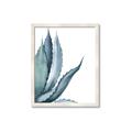 Picture of Succulent  _GroupedProduct_Rectangle_Portrait_Framed_Matted_
