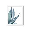 Picture of Succulent  _GroupedProduct_Rectangle_Portrait_Framed_Matted_