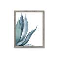 Picture of Succulent  _GroupedProduct_Rectangle_Portrait_Framed_Matted_