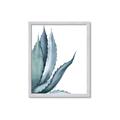 Picture of Succulent  _GroupedProduct_Rectangle_Portrait_Framed_Matted_