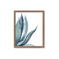 Picture of Succulent  _GroupedProduct_Rectangle_Portrait_Framed_Matted_