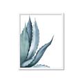 Picture of Succulent  _GroupedProduct_Rectangle_Portrait_Framed_Matted_