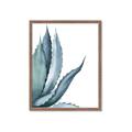 Picture of Succulent  _GroupedProduct_Rectangle_Portrait_Framed_Matted_