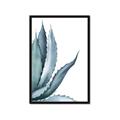 Picture of Succulent  _GroupedProduct_Rectangle_Portrait_Framed_Matted_