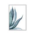 Picture of Succulent  _GroupedProduct_Rectangle_Portrait_Framed_Matted_