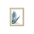 Picture of Succulent  _GroupedProduct_Rectangle_Portrait_Framed_Matted_