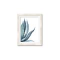 Picture of Succulent  _GroupedProduct_Rectangle_Portrait_Framed_Matted_