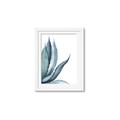Picture of Succulent  _GroupedProduct_Rectangle_Portrait_Framed_Matted_
