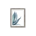 Picture of Succulent  _GroupedProduct_Rectangle_Portrait_Framed_Matted_