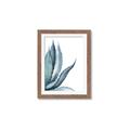 Picture of Succulent  _GroupedProduct_Rectangle_Portrait_Framed_Matted_
