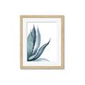 Picture of Succulent  _GroupedProduct_Rectangle_Portrait_Framed_Matted_