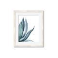 Picture of Succulent  _GroupedProduct_Rectangle_Portrait_Framed_Matted_