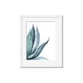 Picture of Succulent  _GroupedProduct_Rectangle_Portrait_Framed_Matted_