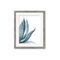 Picture of Succulent  _GroupedProduct_Rectangle_Portrait_Framed_Matted_