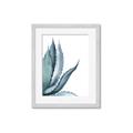 Picture of Succulent  _GroupedProduct_Rectangle_Portrait_Framed_Matted_