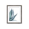 Picture of Succulent  _GroupedProduct_Rectangle_Portrait_Framed_Matted_