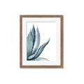 Picture of Succulent  _GroupedProduct_Rectangle_Portrait_Framed_Matted_