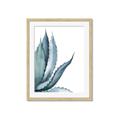 Picture of Succulent  _GroupedProduct_Rectangle_Portrait_Framed_Matted_