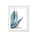 Picture of Succulent  _GroupedProduct_Rectangle_Portrait_Framed_Matted_