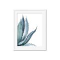 Picture of Succulent  _GroupedProduct_Rectangle_Portrait_Framed_Matted_