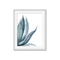 Picture of Succulent  _GroupedProduct_Rectangle_Portrait_Framed_Matted_