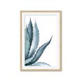 Picture of Succulent  _GroupedProduct_Rectangle_Portrait_Framed_Matted_