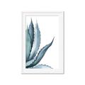Picture of Succulent  _GroupedProduct_Rectangle_Portrait_Framed_Matted_