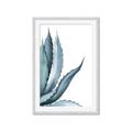 Picture of Succulent  _GroupedProduct_Rectangle_Portrait_Framed_Matted_