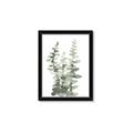 Picture of Eucalyptus Growing I _GroupedProduct_Rectangle_Portrait_Framed_Matted_